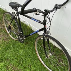 electric tricycle bicycle Lectric XP Trike (Regular)