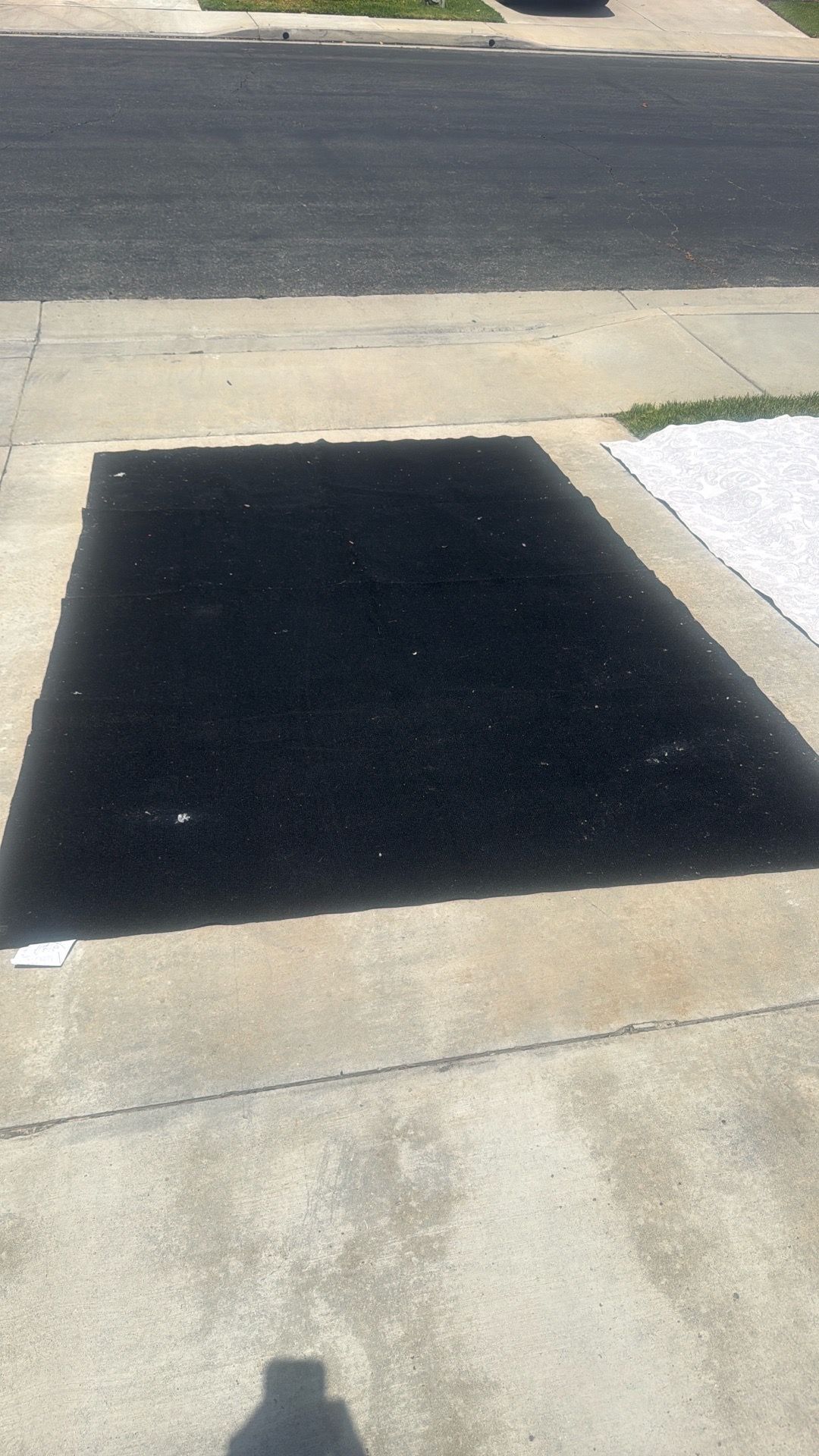 Rugable Washable Floor Carpet