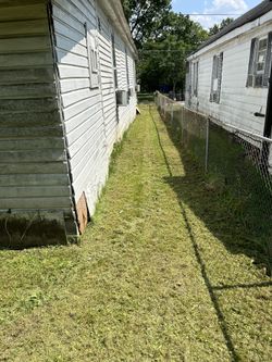 Available Cut Grass Today