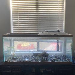Multiple Tanks 