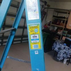 werner 6ft 