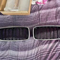 BMW OEM Grill Kidney Grilles