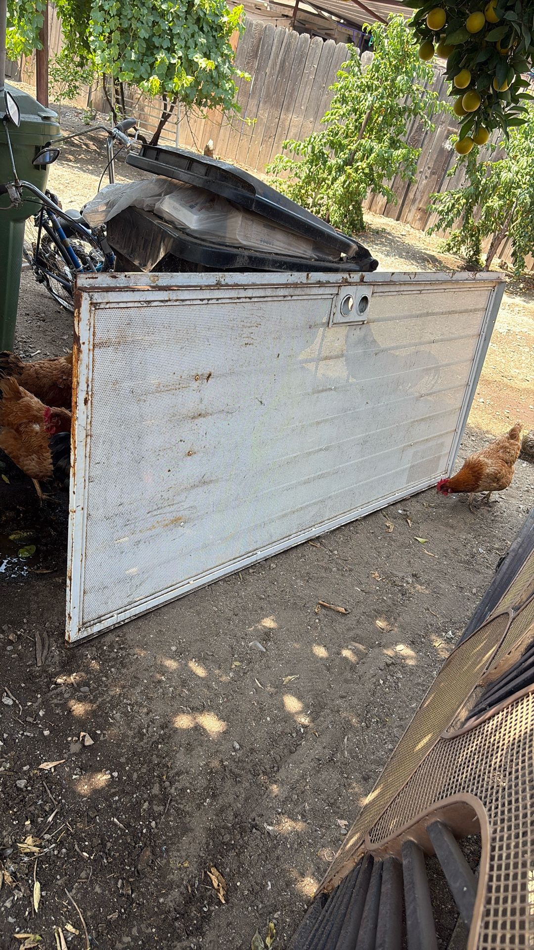 36x 80. Security Door