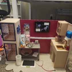 Our Generation Doll Vet Clinic