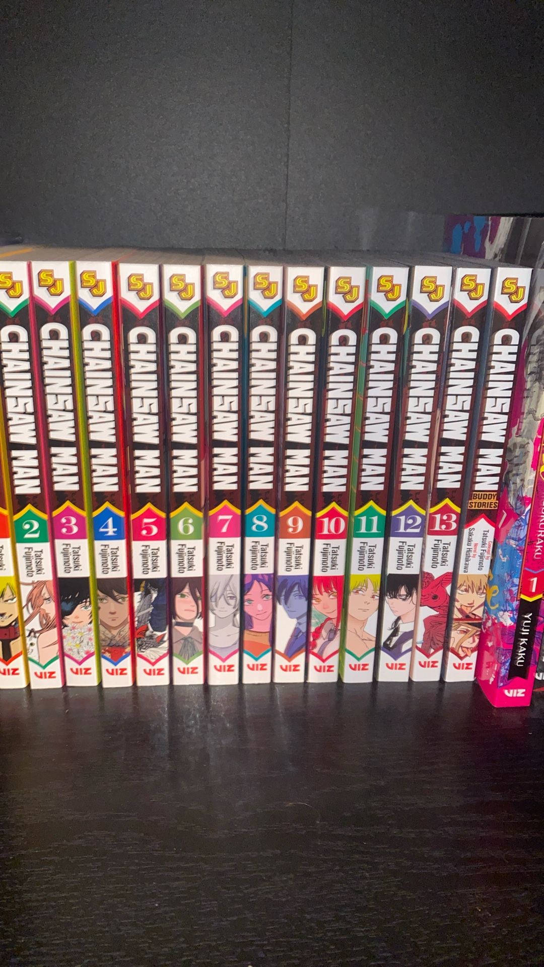  Chainsaw Man 1-13 Plus Light Novel.
