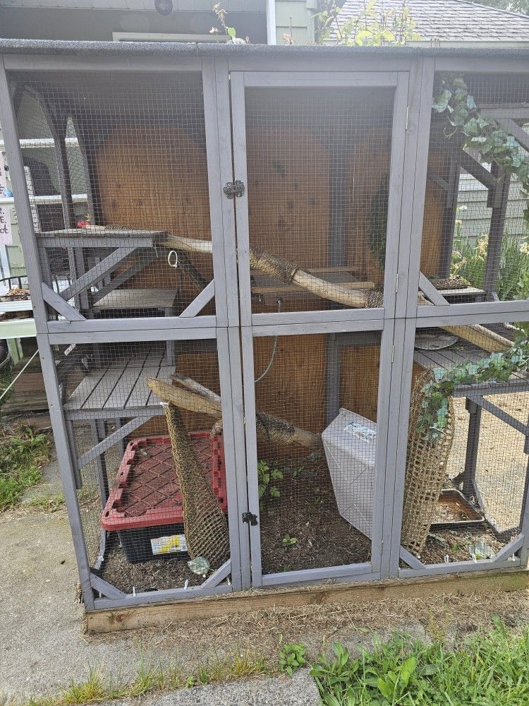 Converted Catio To Iguana Cage