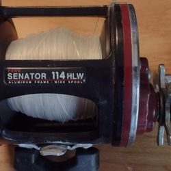 Penn Fishing Reel 114HLW 
