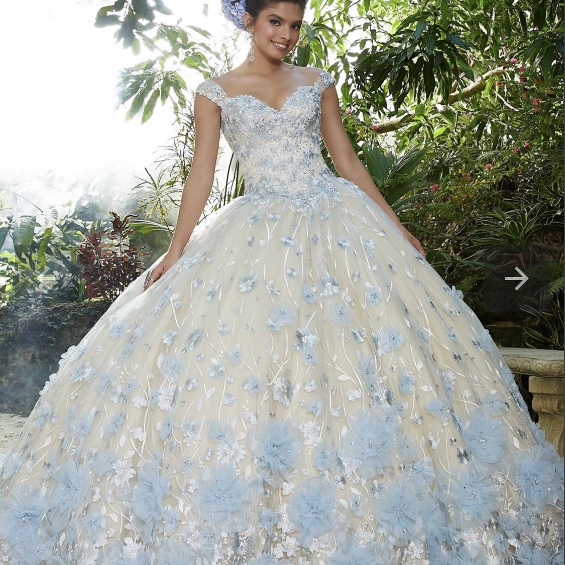 Quinceneara Dress