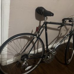 Raleigh Professional Bicycle / 55CM C-C / Racing Road Bike /