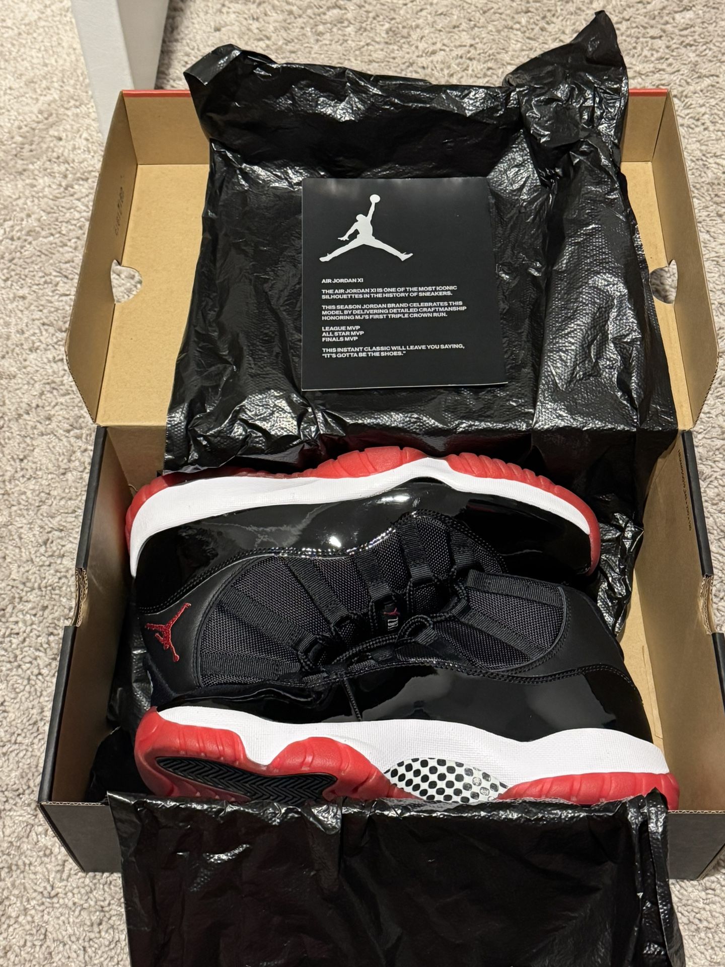 Jordan 11 Bred (2019)