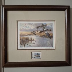 Duck Collectiin Original Federal Duck Stamp