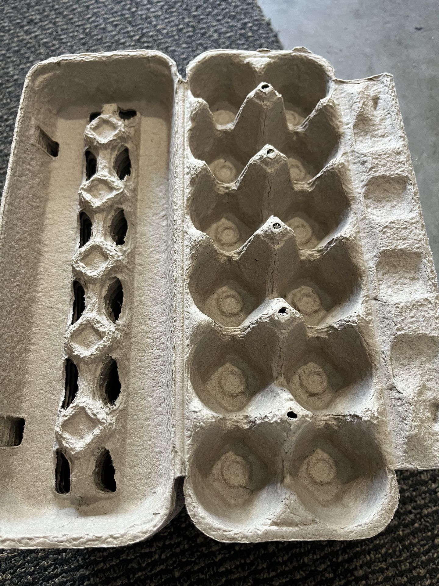 Eggs Cartons