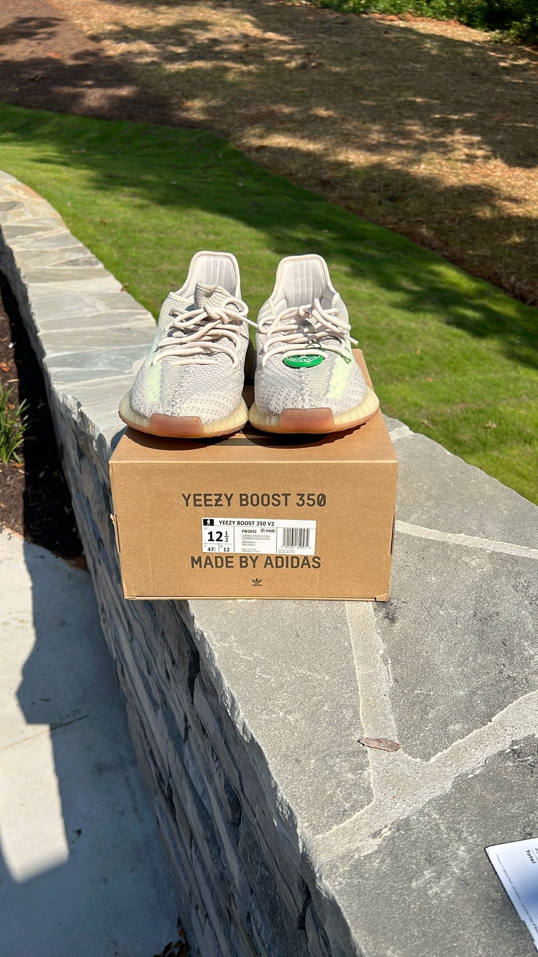 Adidas Yeezy Boost 350 V2
