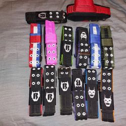 Dog Collars And Leach 