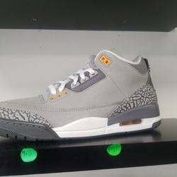 Air Jordan  Retro 3 Cool Grey 2021 Size 9.5