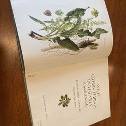 Vintage Wild Green Things In The City Book By Anne Dowden