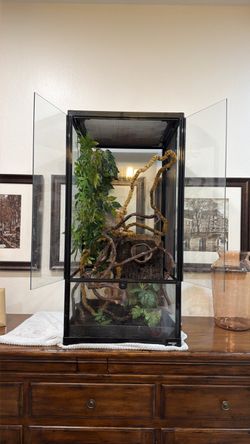 WACOOL 18 x 18 x 36 Glass Terrarium + Decor & Substrate Tray