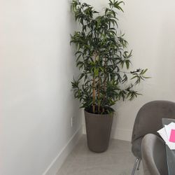 Artificial Plant With Base