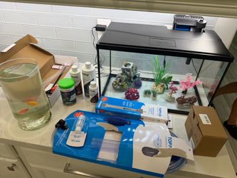 Fish tank, 5 fish, food, accessories