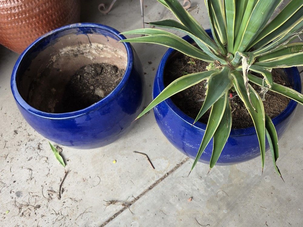 $500 Huge Ceramic Glazed. Can Deliver