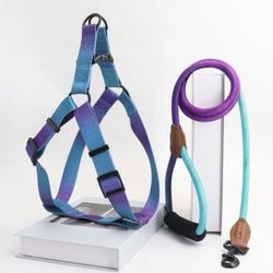 Dog Leash, Harness and Pet Seat Belt set