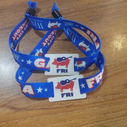 Windy City Friday Wristbands 
