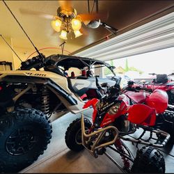 Polaris 500cc  Dale Jr Edition 