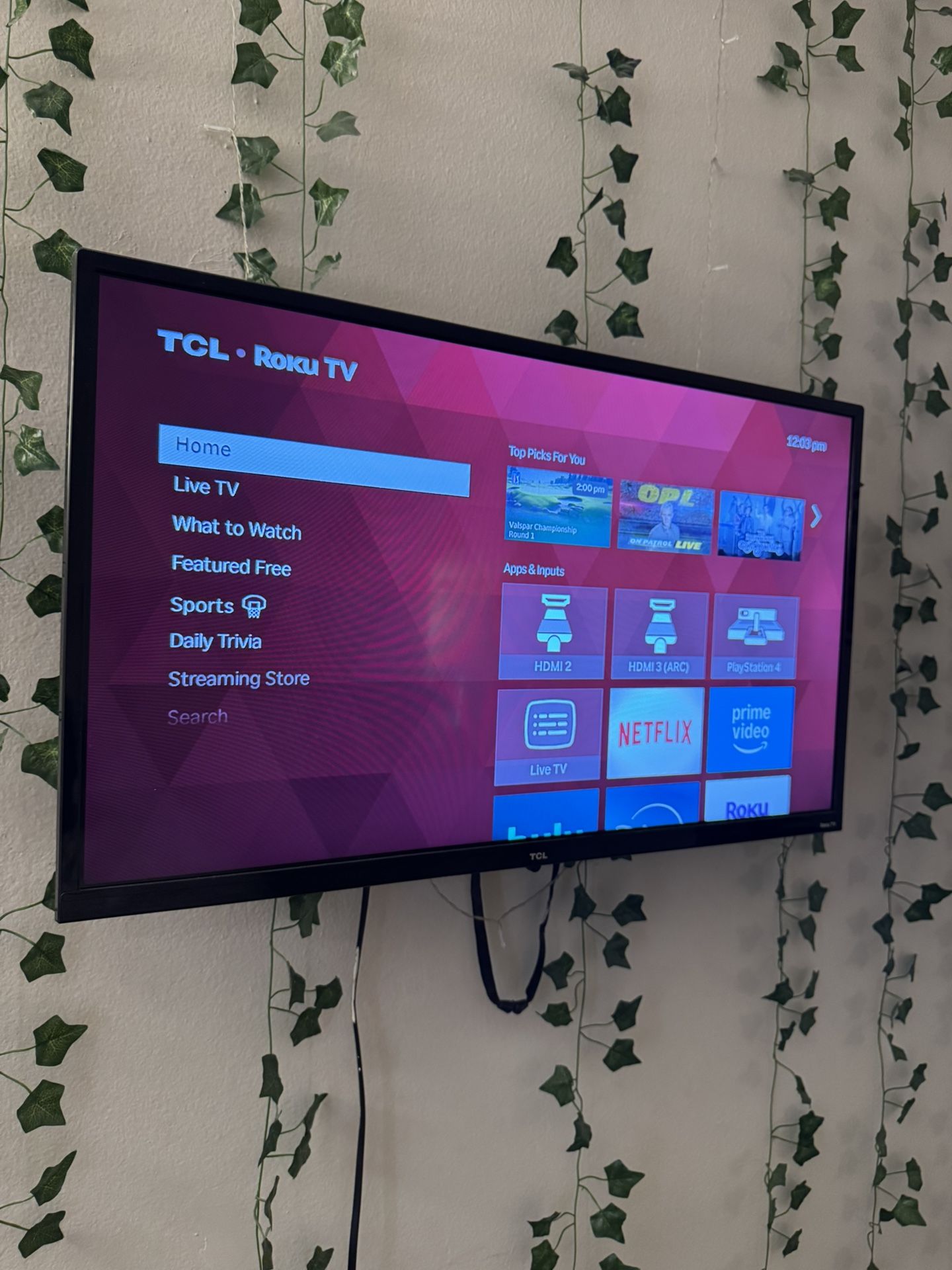 32 In TCL HD Roku Tv