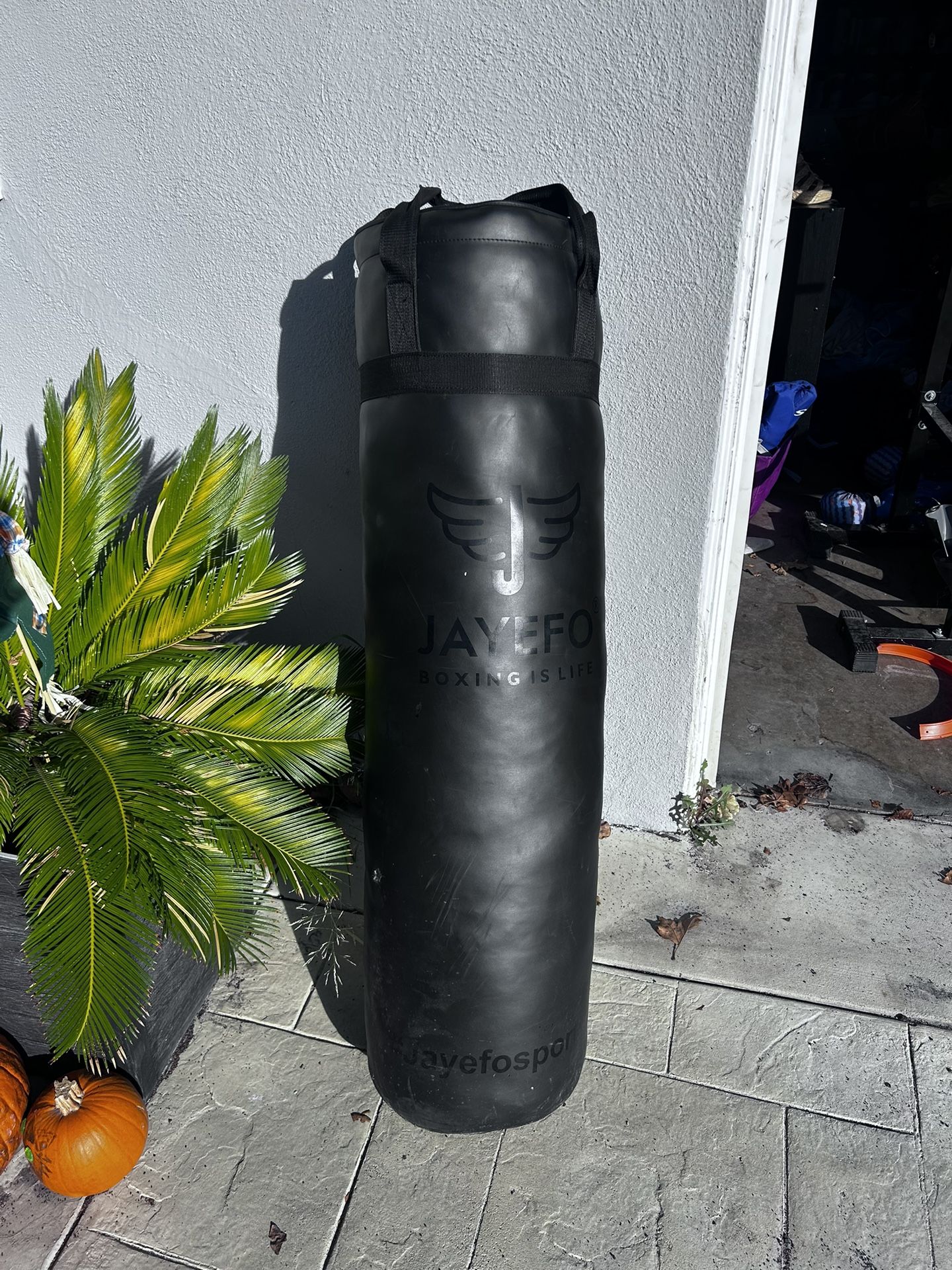 Punching Bag