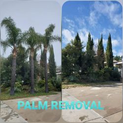 Stump Grinding Messge, Tree Messge