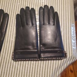 Daks Leather Glove