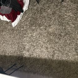 Clean Light Grey Quality Rug