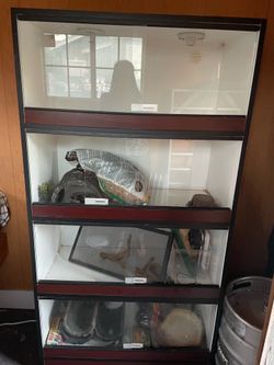 Reptile / Small animal enclosure