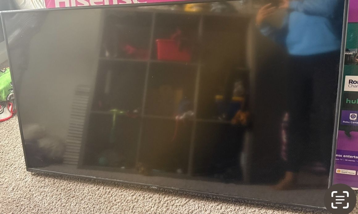 Vizio 55” TV