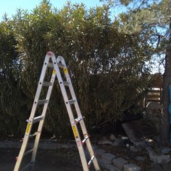 Trimming Yard Work 