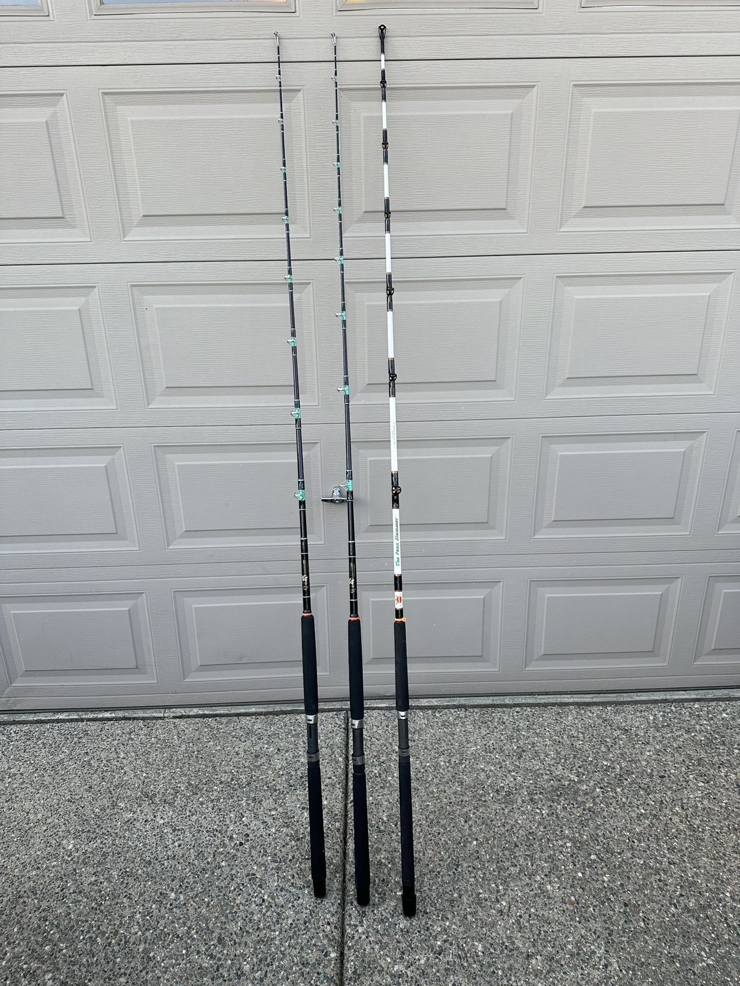 Fishing Poles Or Fishing Rods Calstar And The Penn Slammer