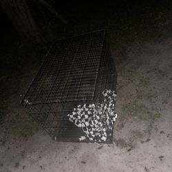 XXL Dog Cage