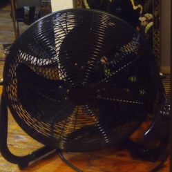 Large Metal Fan 