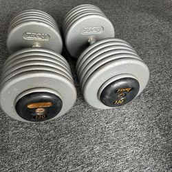 130 lb dumbbells