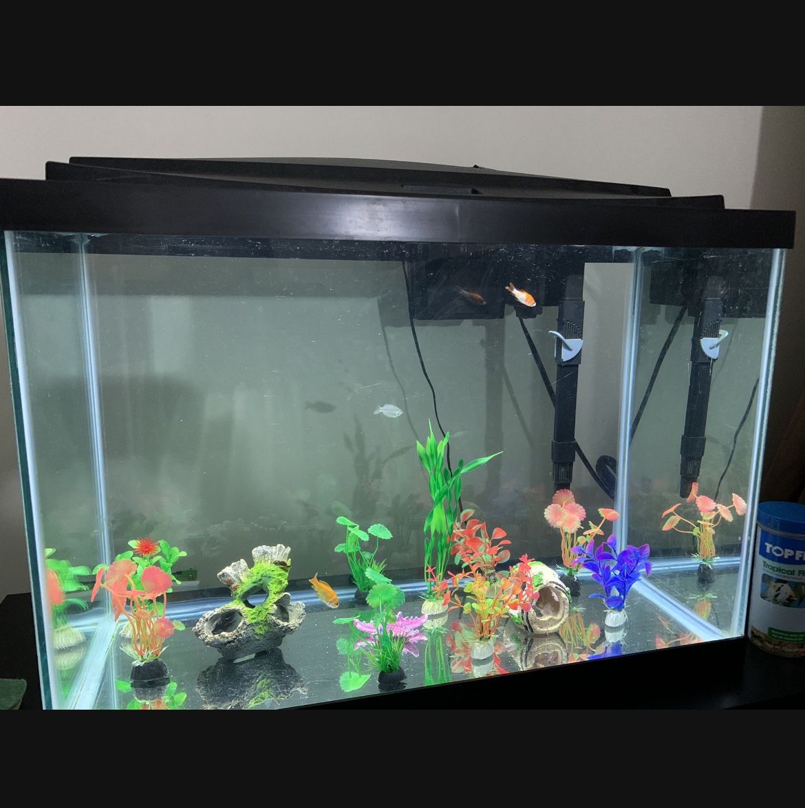 Aquarium