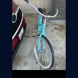 Adult Beach Cruiser 