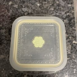 PRINCESS HOUSE CONTAINER