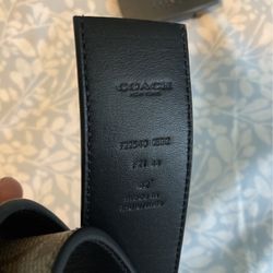 Coach Belt