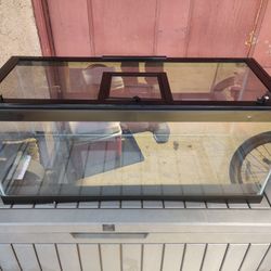 Reptile Tank / Terrarium 20 gal