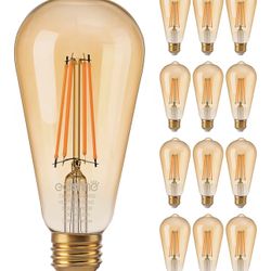 12 Pack Vintage LED Edison Bulbs 8W Equivalent 60W, ST64 Dimmable Led Light Bulbs, 700LM 2200K Amber Warm Light E26, Decorative Antique LED Filament B