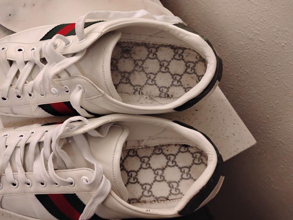 Designer Gucci Ace Low Top Sneakers