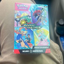 Pokemon Journey Together 