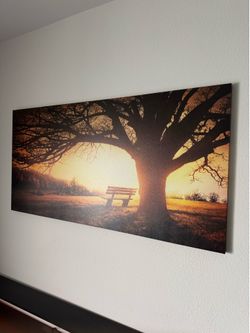 Wall Art Canvas