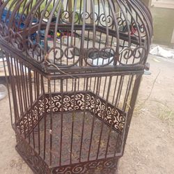 Beautiful Bird Cage