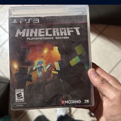 Minecraft PS3 Edition 
